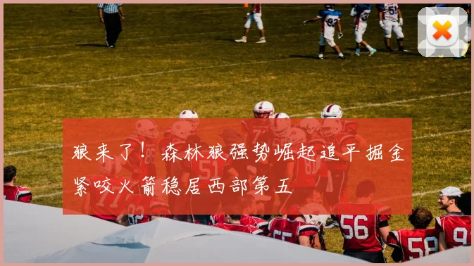 狼来了！森林狼强势崛起追平掘金紧咬火箭稳居西部第五